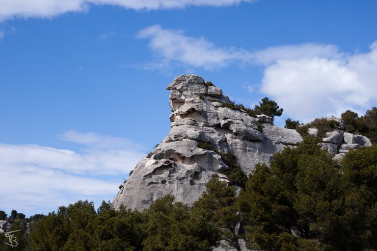 provence-7